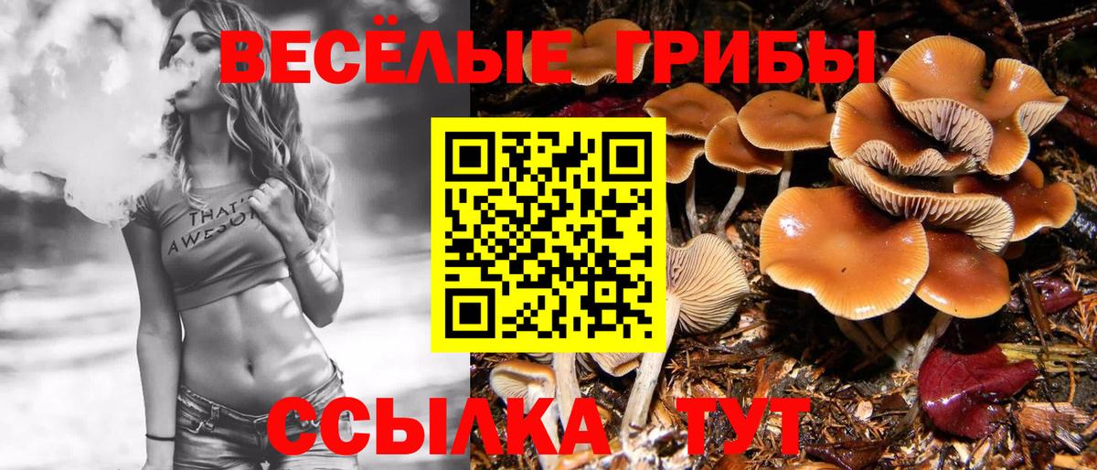 магазин продажи   Вход с VPN  Королёв  Галлюциногенные грибы MAGIC MUSHROOMS 