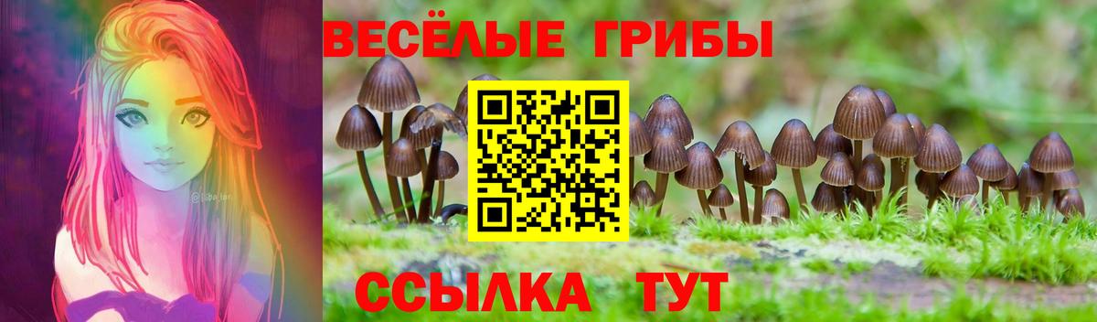 Псилоцибиновые грибы мухоморы Королёв